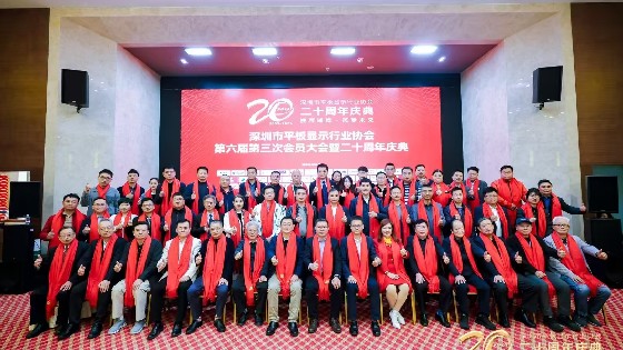钱柜777科技受邀参加深圳市平板显示行业协会（SDIA）第六届第四次理事会、第六届第三次会员大会暨二十周年庆典